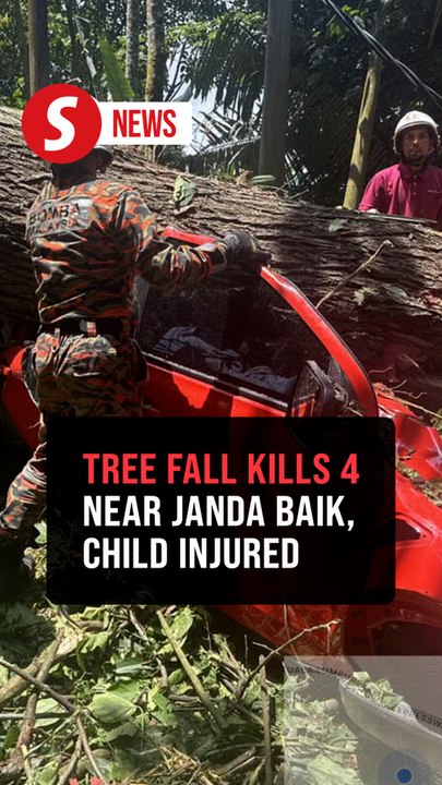Four killed, child injured after tree crushes pickup truck near Janda Baik