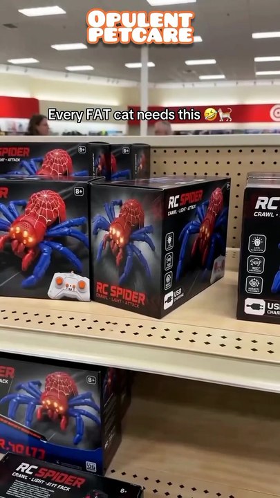 RC Spider Toy for Cats — Remote Control Crawling Spider with Glowing Eyes | Interactive Cat Toy