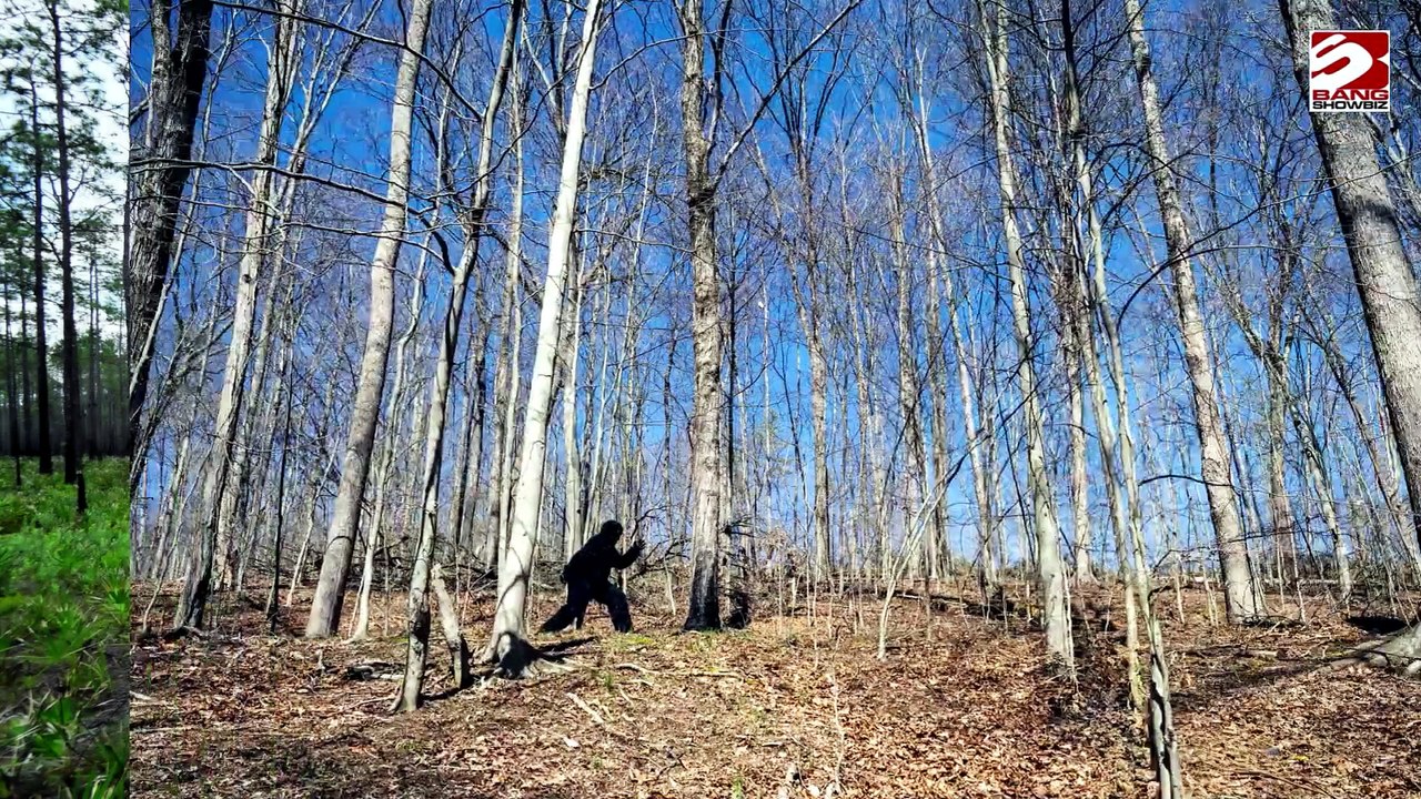 Zwei Bigfoots in einem Wald in Florida gesichtet
