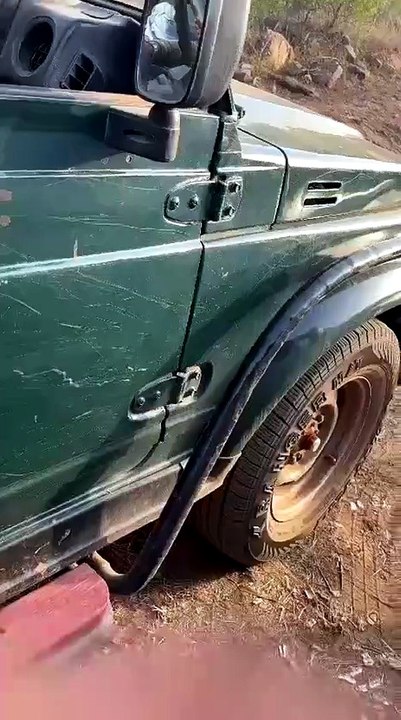 Self Drive Tiger Safari in Karwa Gate Tadoba | Tiger Sightings in Own Car | Support My Channel