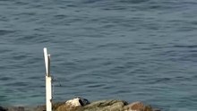 Ισπανία: 88 οι νεκροί μετά το πέρασμα στη Θέουτα, καταγγελίες για αγνοούμενους