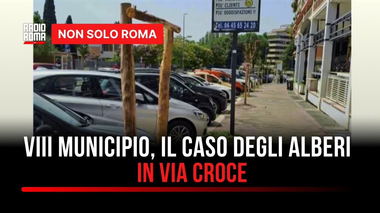 VIII Municipio, il "doppio flop" nella piantumazione degli alberi diventa l'ennesimo caso sul verde