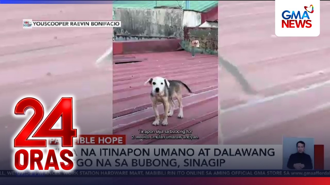 Tuta na itinapon umano at dalawang linggo na sa bubong, sinagip | 24 Oras