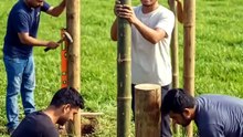🎋 Building a Beautiful Bamboo House in a Green Field from Scratch! 🏡✨ _ Asraf Vai 1 #shorts