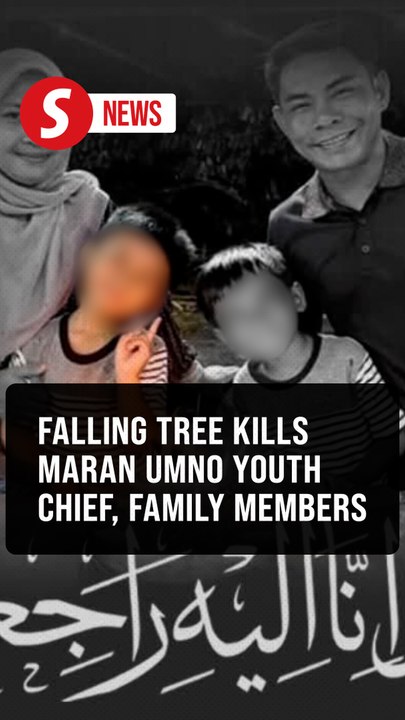 Maran Umno Youth chief among four killed in Janda Baik falling tree incident