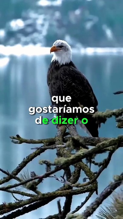 O  silêncio