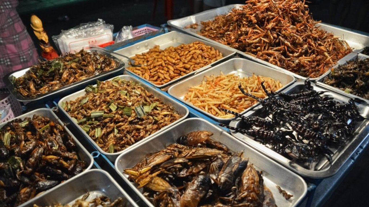 Twelve Insects Approved as Food