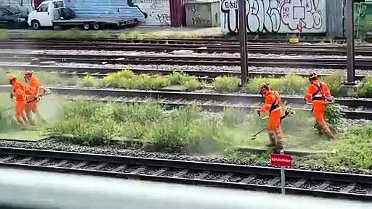 Funny Workers | Full Video