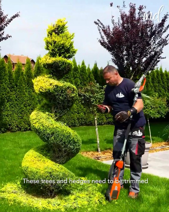 The satisfying journey of a garden makeover 🏡