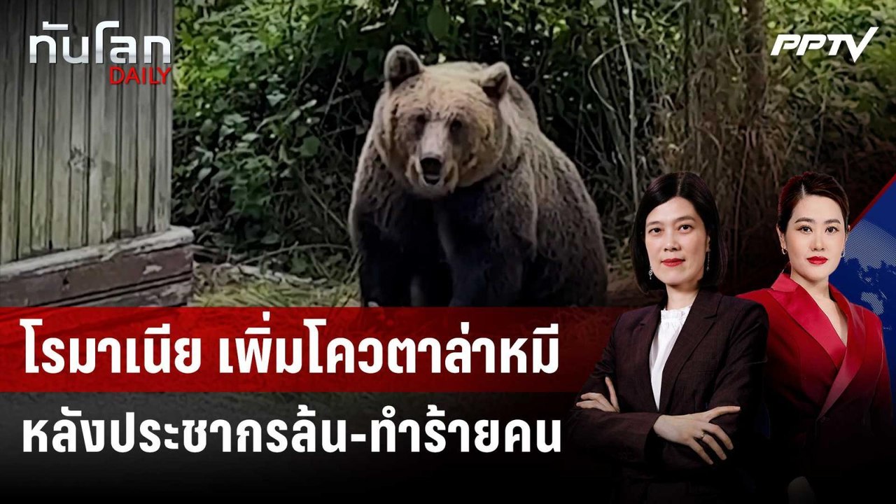 โรมาเนียออกกม.เพิ่มโควตาล่าหมีหลังประชากรล้น-ทำร้ายคน | ทันโลก DAILY | 3 ส.ค. 69