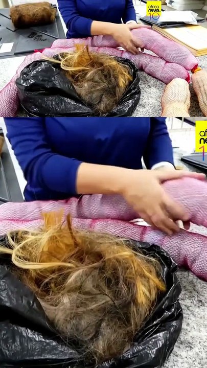 Brazilian firm uses hair to help clean up oil spills and pollution