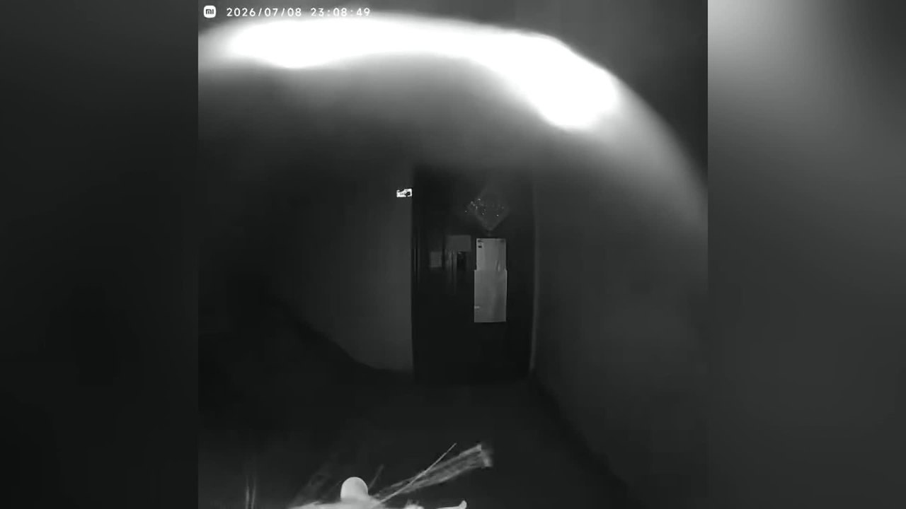 Rat Appears to Enter Passcode Before Ringing Doorbell