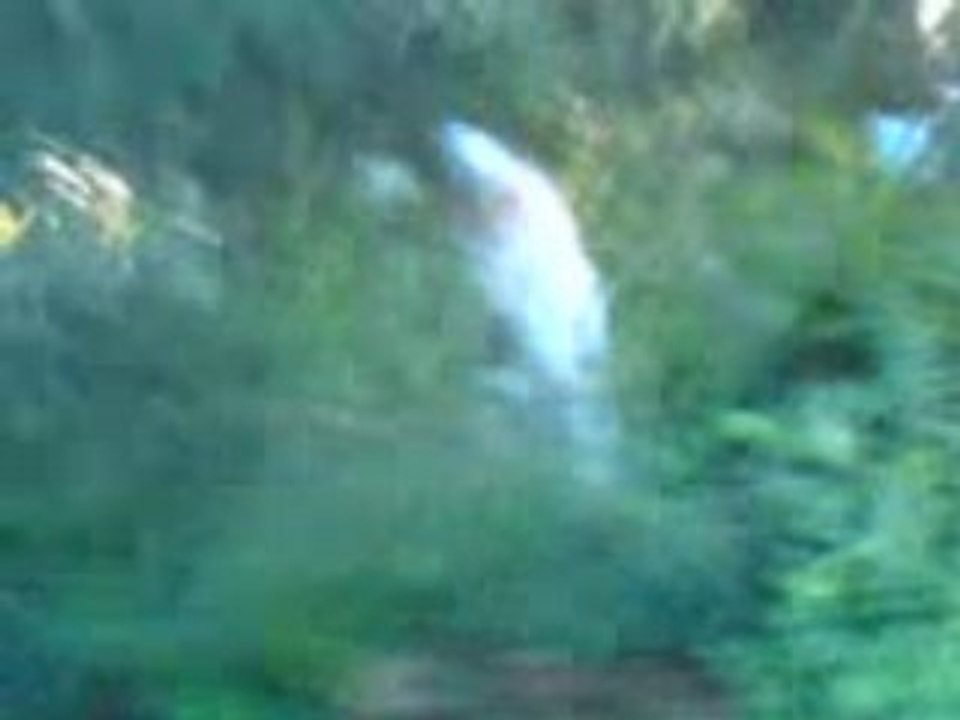 MOV00211