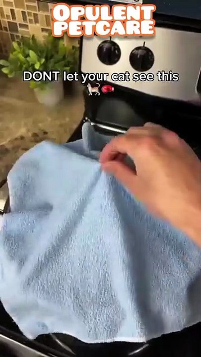🥊 Portable Cat Punching Bag Toy 🐱
