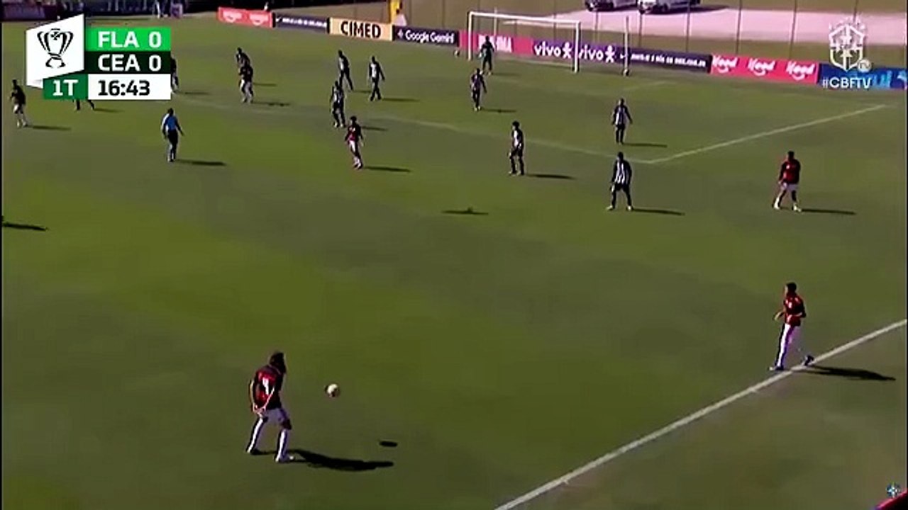 AVE QUIZO ATACAR A JUGADOR DE FÚTBOL