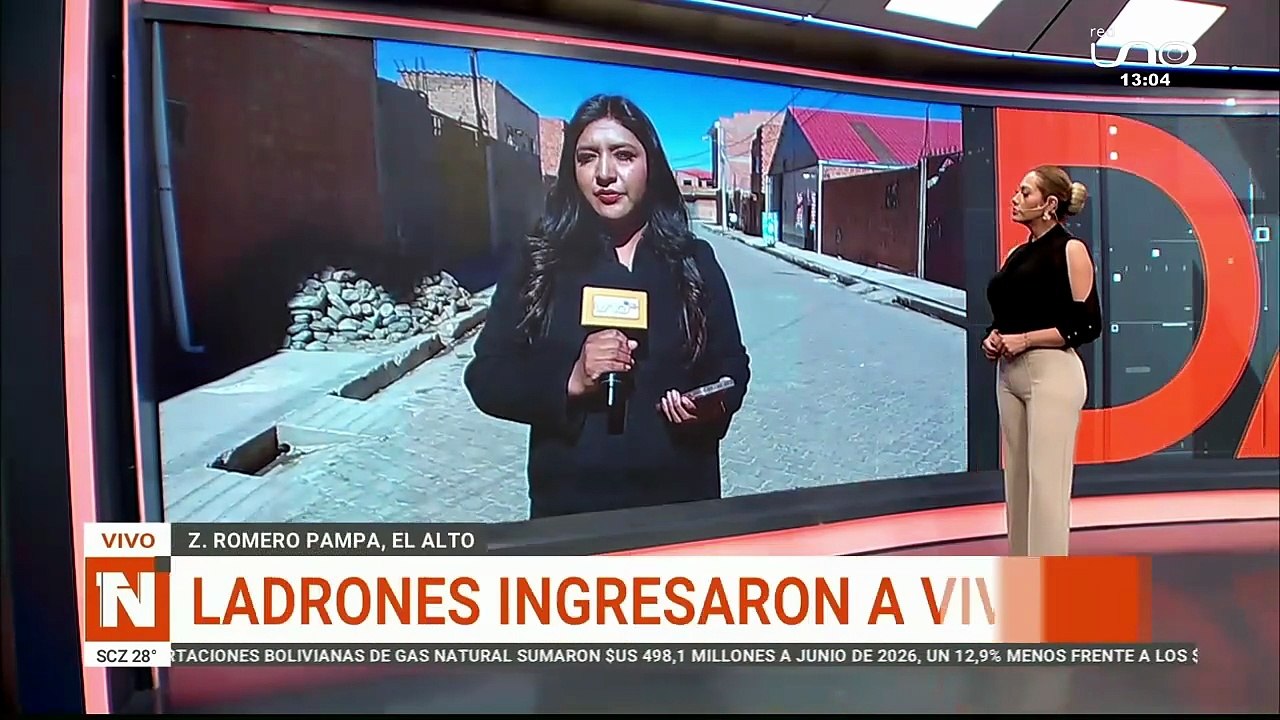 ladrones ingresaron a una vivienda