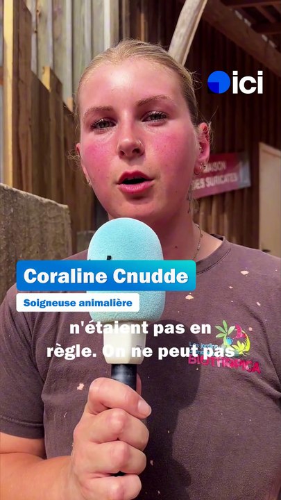 "Ce n'est pas un animal de compagnie" : deux fennecs placés à Biotropica à Val-de-Reuil