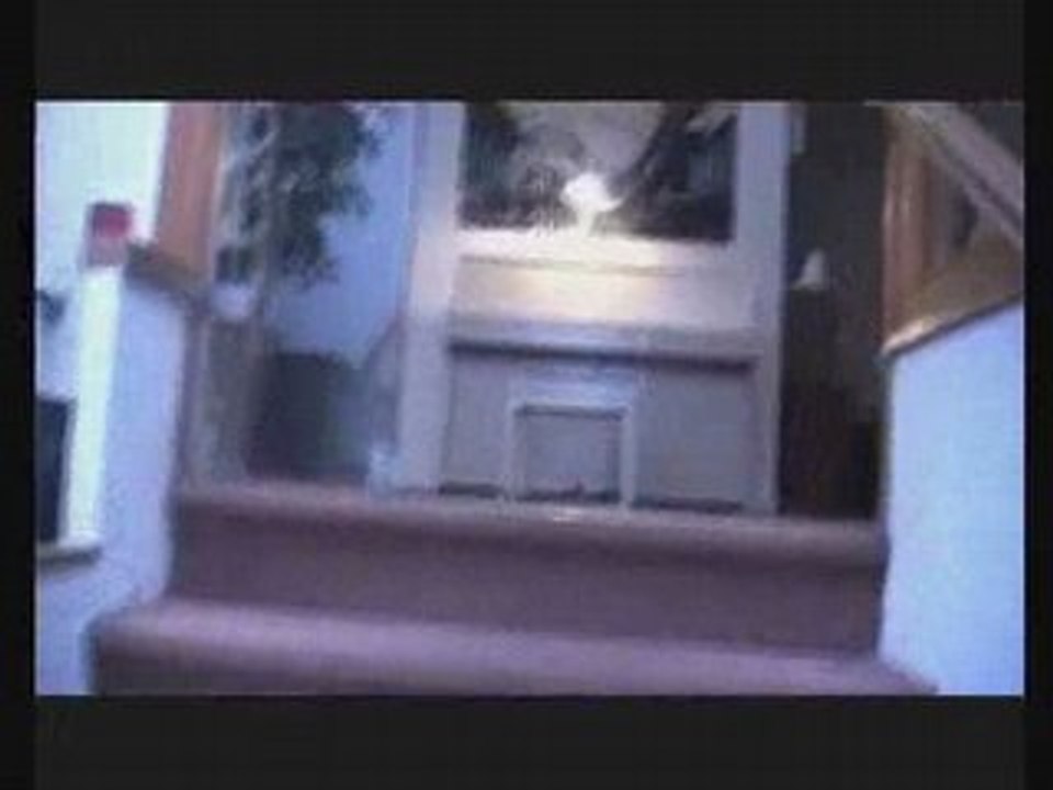 Guerriers recordz def