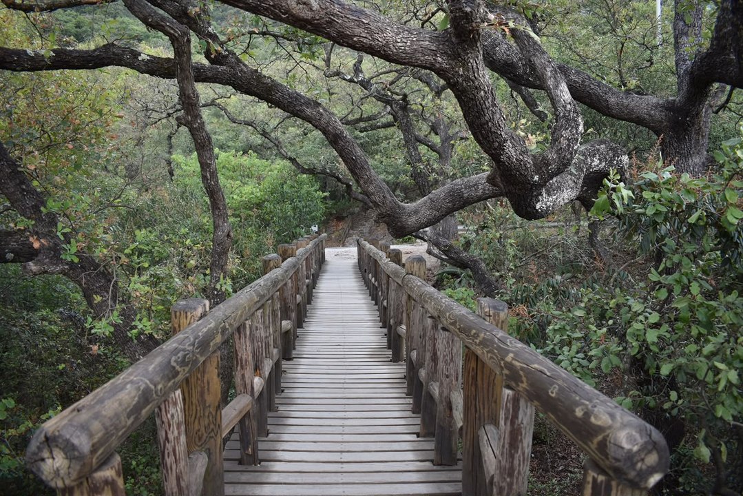 ¿Sin presupuesto para viajar? 3 ecoparques en Nuevo León para una escapada exprés de un día