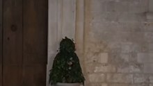 Gli scherzi della pianta