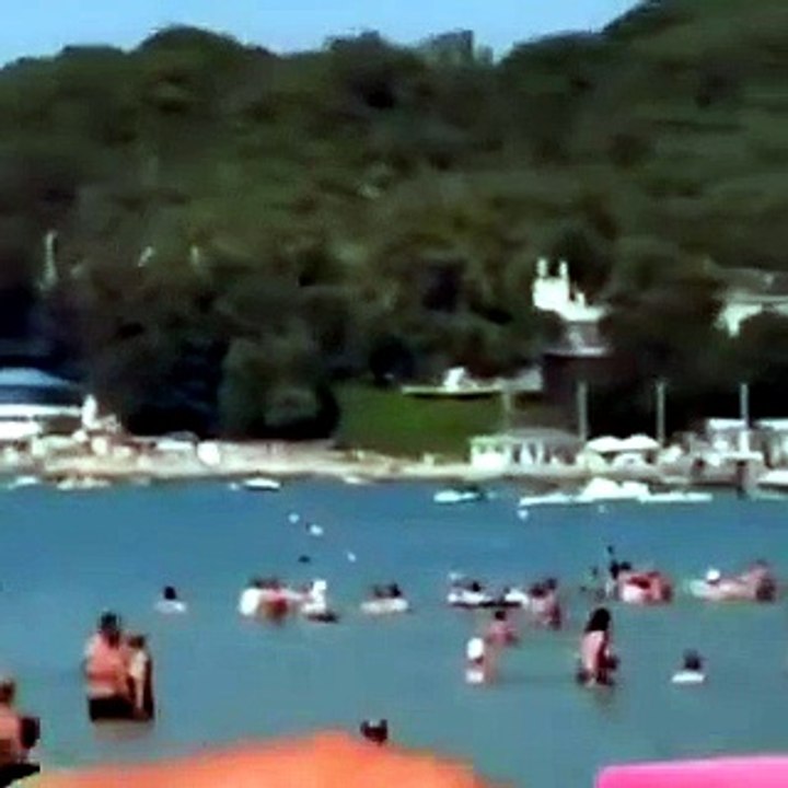 CORTO Un dron kamikaze ucraniano impactó una playa en Gelendzhik, en la costa rusa del mar Negro y mató a 7 personas