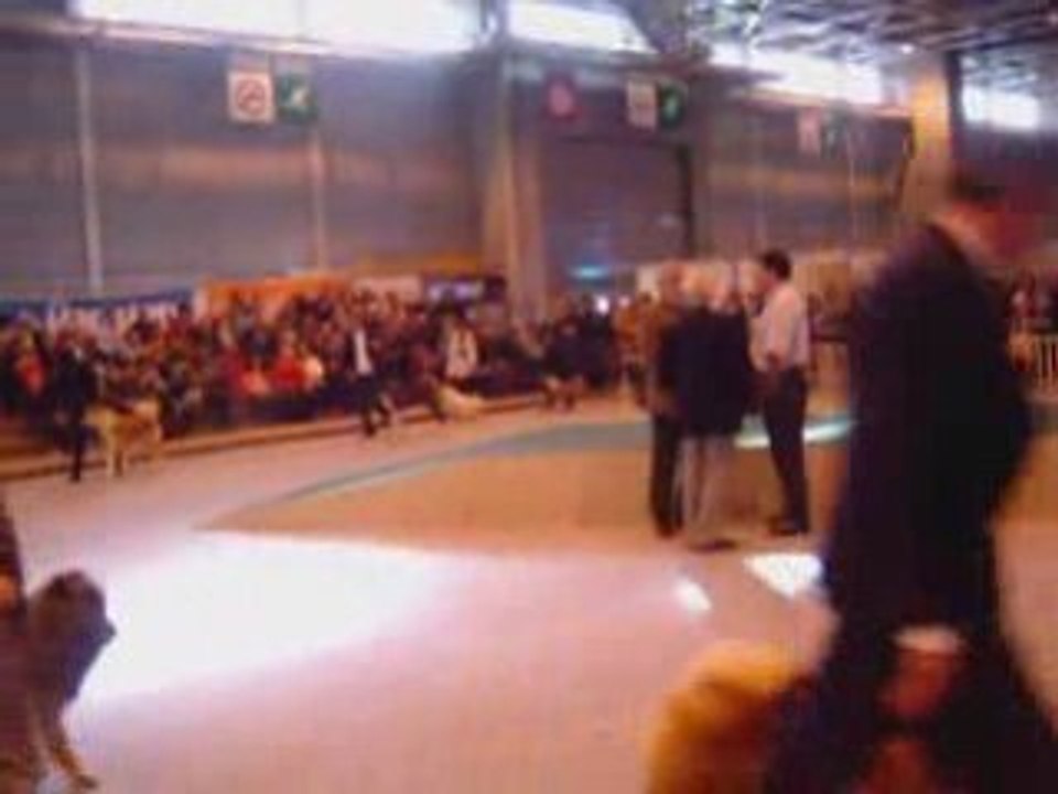 SALON AGRICOLE 2008