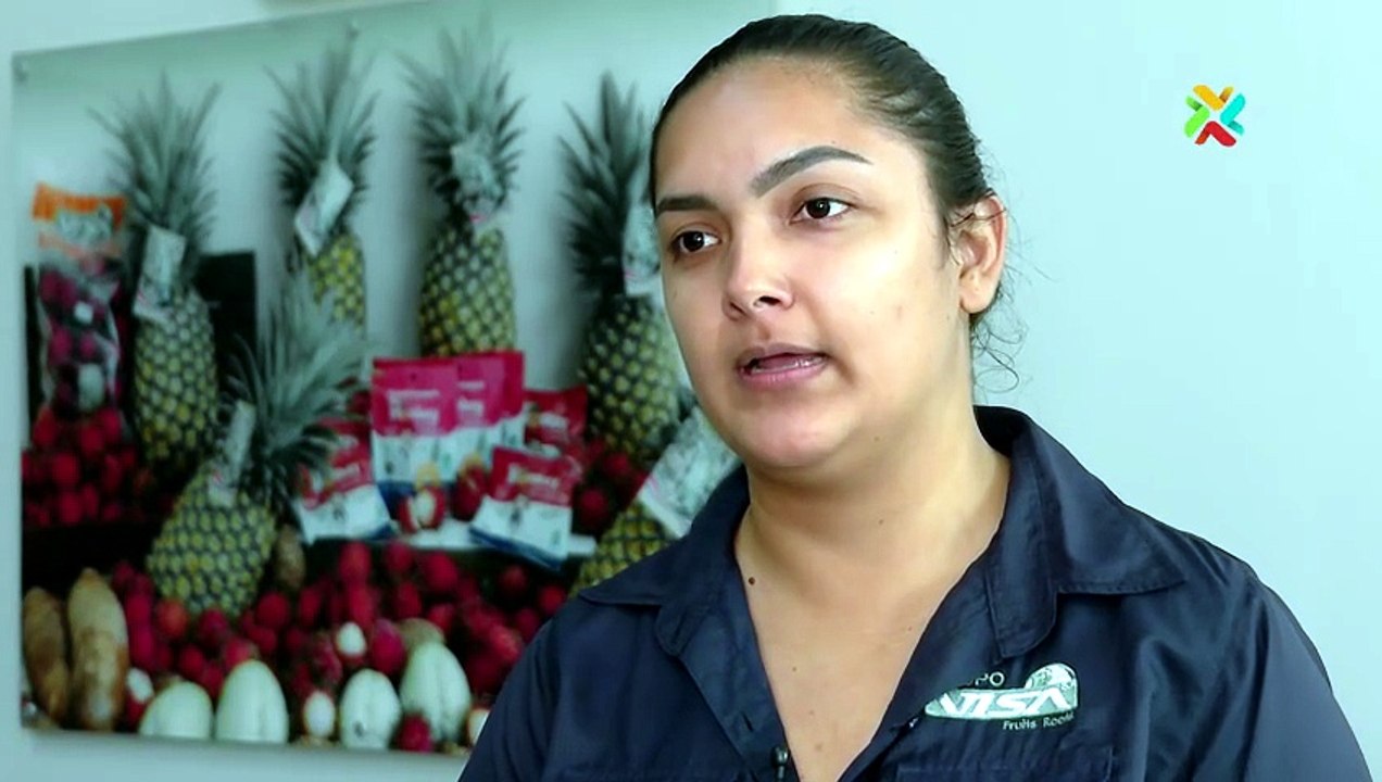 Narcotráfico y exportación de piña: las medidas de seguridad que protegen los envíos ticos [Full Movie]
