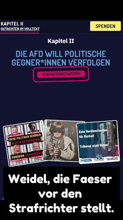 AFD-Gutachten 🎤 1500 Seiten (Rap Edit)