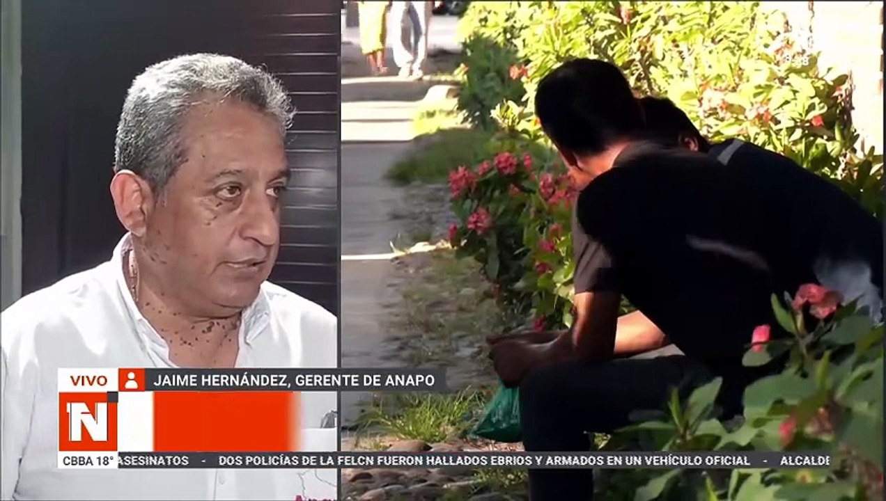 ANAPO SOBRE EL COMBUSTIBLE