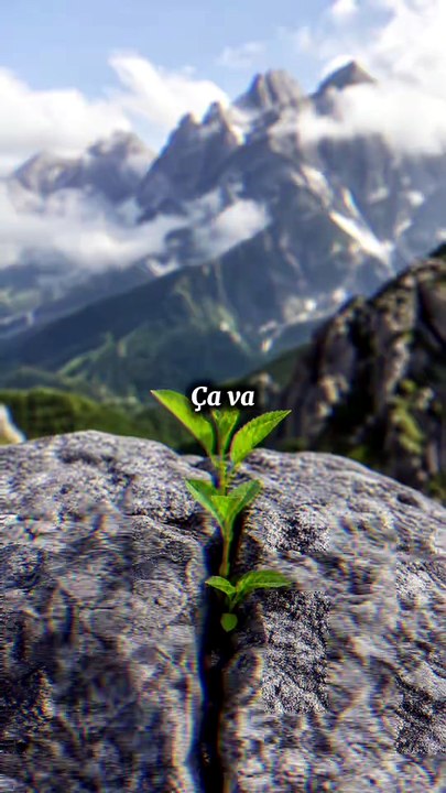 Chaque jour est une nouvelle occasion de transformer votre avenir