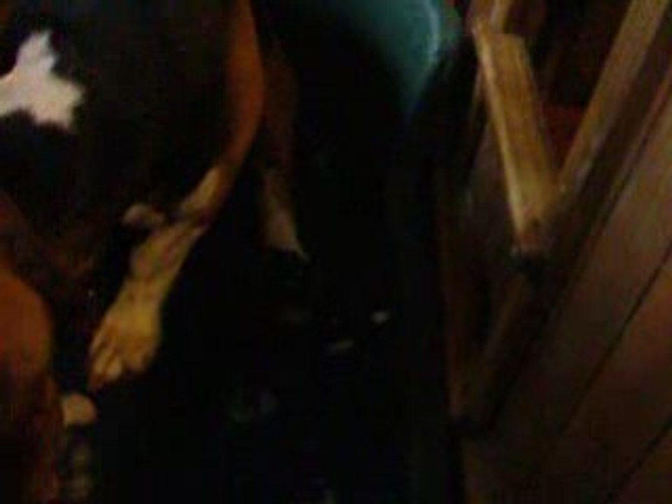 DSCF2676