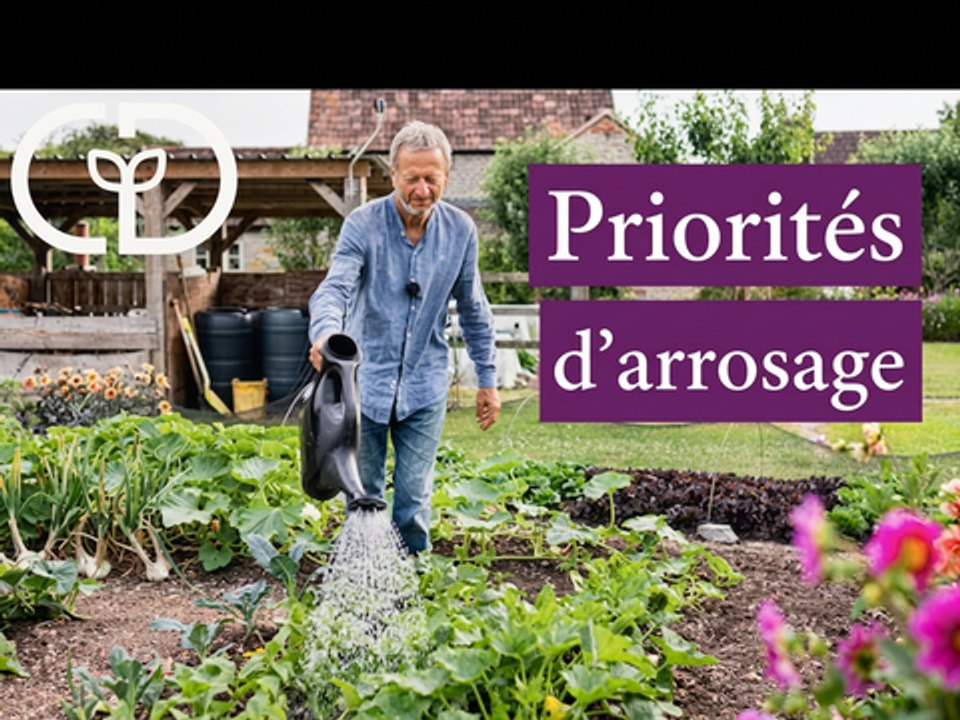 Quels légumes bénéficient le plus de l’arrosage, et quand les arroser ?