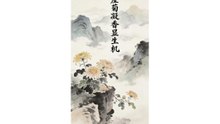 崖菊凝香显生机