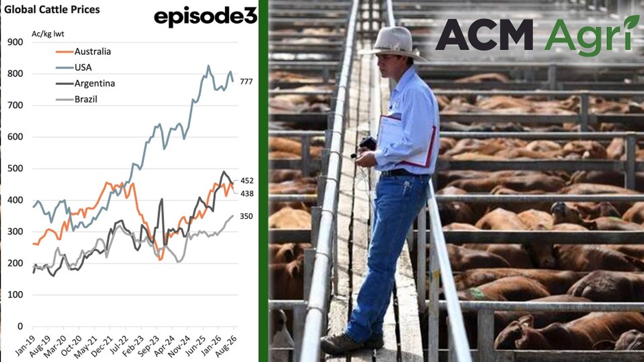 Global cattle prices for July 2026