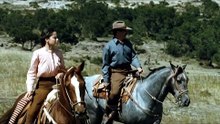 Arrancame La Vida (2008)