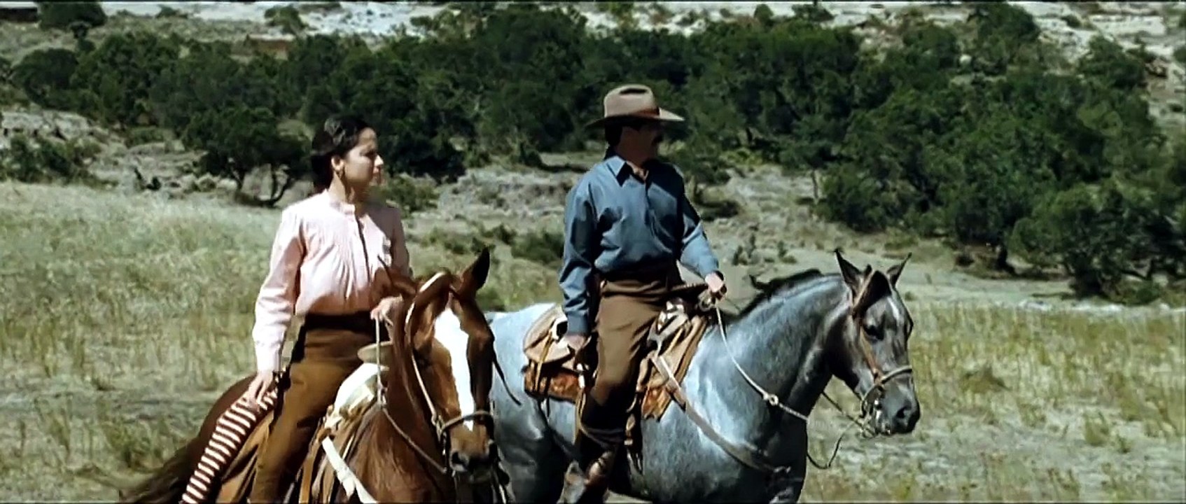 Arrancame La Vida (2008)