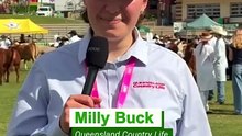 No bull: star cows spill the beans on competing in Ekka