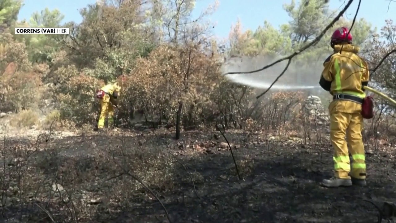 Incendie dans le Var : le feu contenu mais toujours actif
