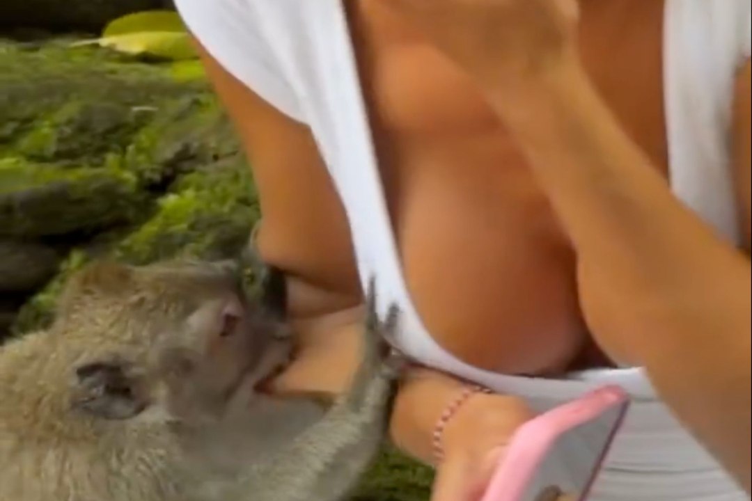 Un mono muerde a una turista en Tailandia y todo queda grabado en video