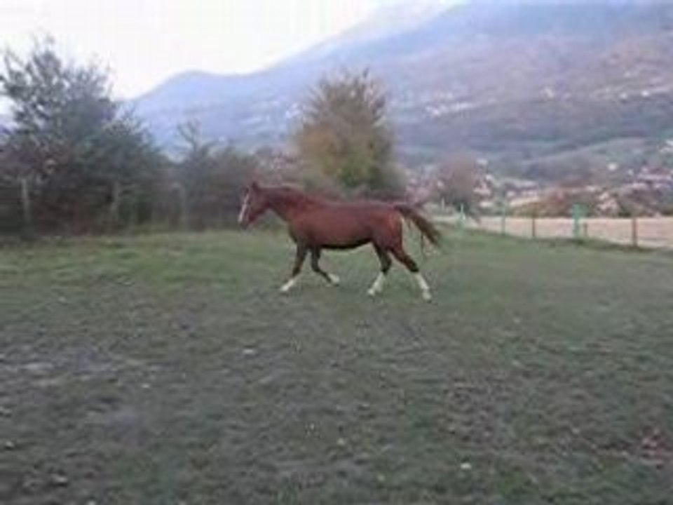 MVI_2102