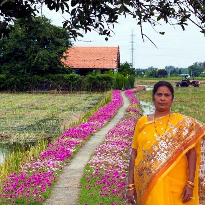 Aananda Seemalo