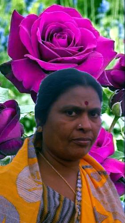 Aanati Haayi
