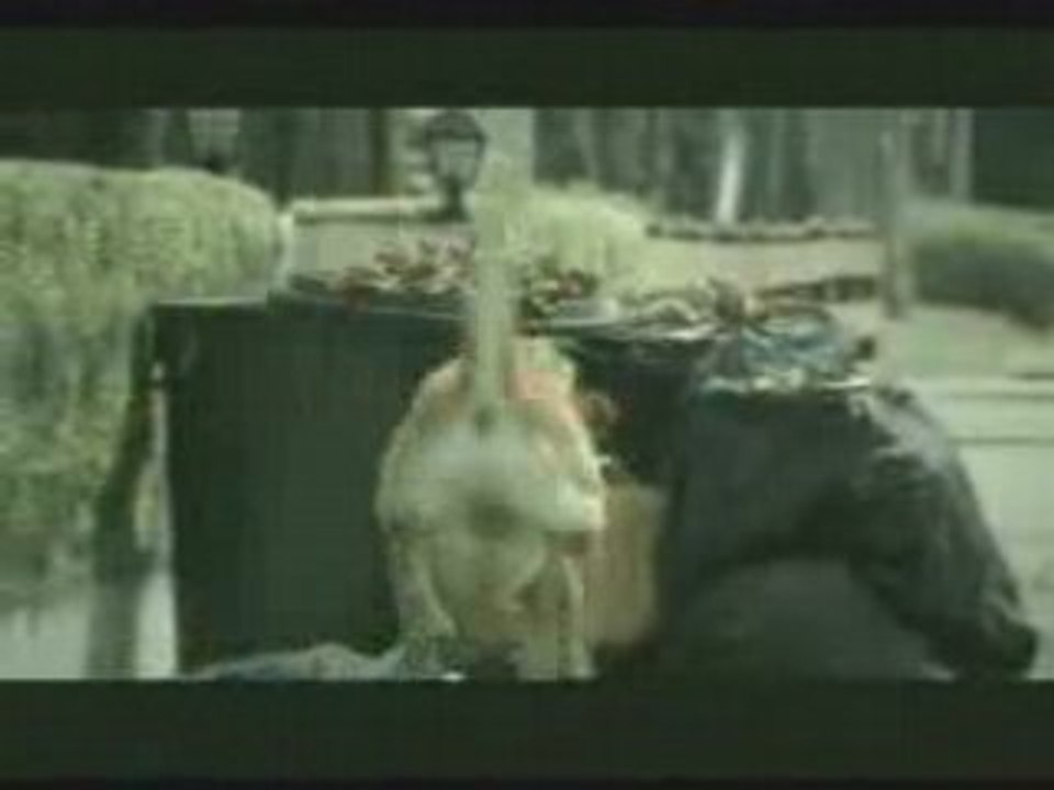 POOR ALONE DOG