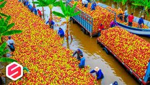 ¡Indonesia se queda atrás! Descubre la tecnología agrícola más avanzada y sorprendente del mundo