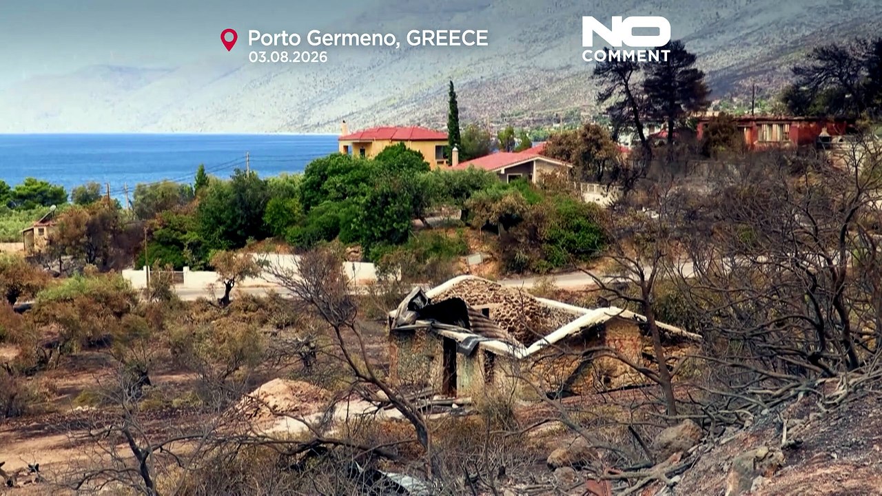 Incendi in Grecia: case distrutte e auto bruciate a Porto Germeno