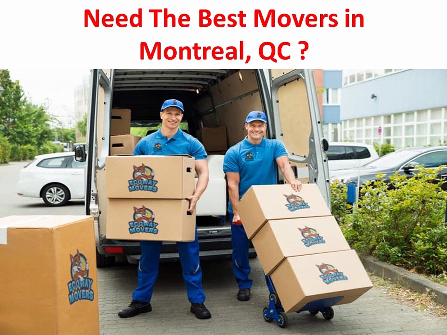 Ecoway Movers : Top-Rated Movers in Montreal, QC