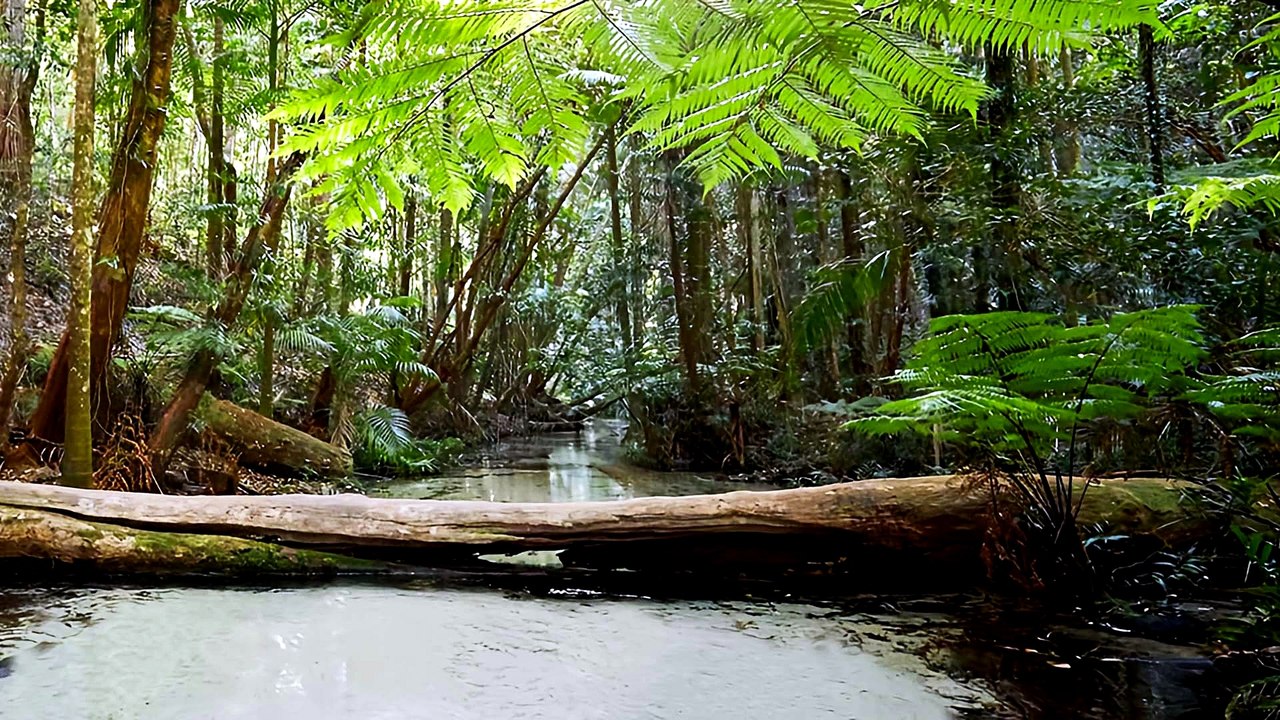 Wangoolbah Creek KGari Island Queensland Australia