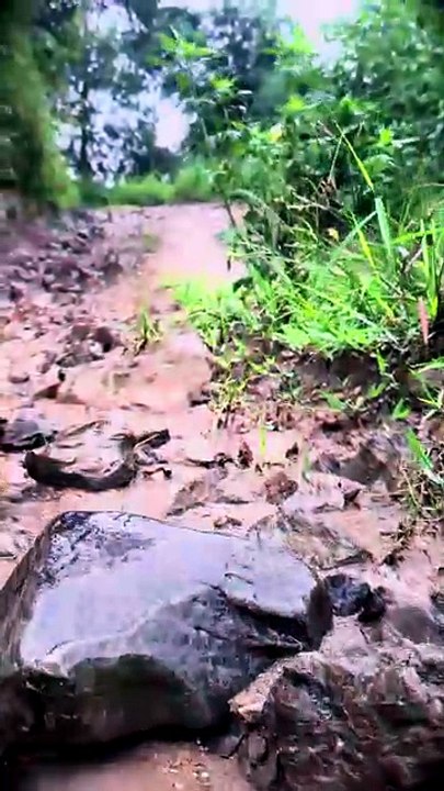 Simple Village Life Experience | भारतीय गांव का सुंदर और शांत जीवन