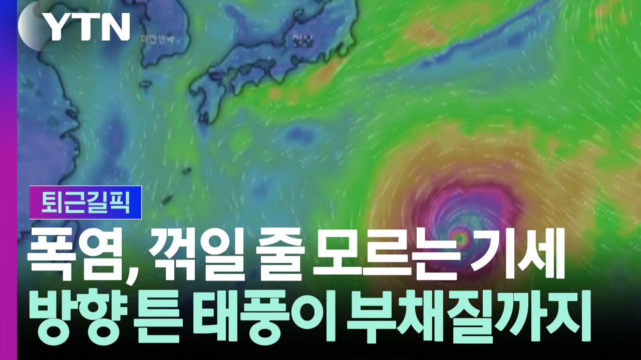'재난급 폭염'에 시달리는 한반도…방향 튼 태풍 '돌핀'이 불러올 효과 [퇴근길픽]...