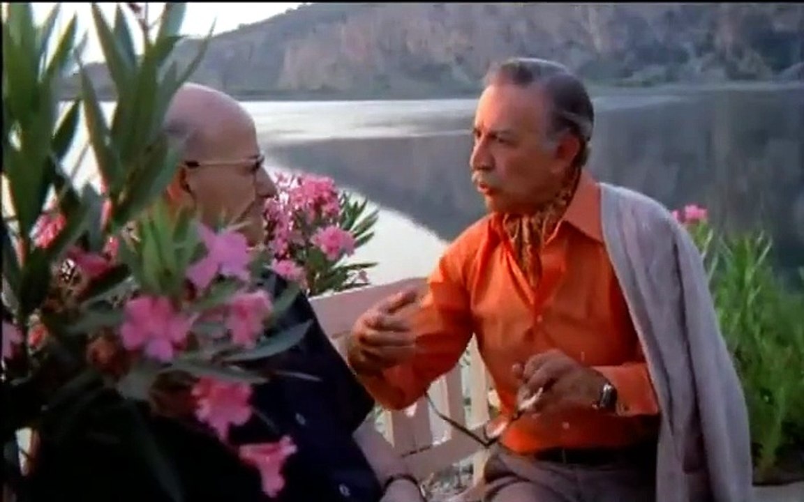 Ταξίδι του μέλιτος (1979)